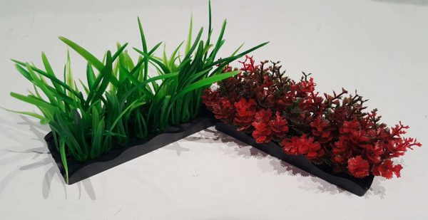 Ecoscape Foreground Catspaw R/lilaeopsis