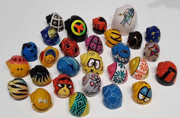 Painted Hermit Crab Shells