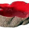 Hermit Crab Tree Stump Bowl Red Small 10 X7.6x3cm