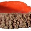 Hermit Crab Tree Stump Bowl Orange Large 14 X10x3cm