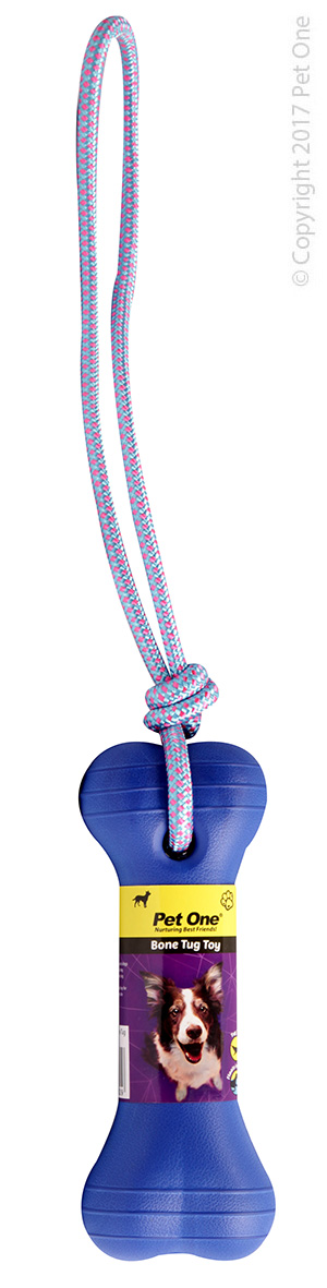 Dog Toy Tug Bone (blue)