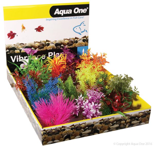 Vibrance Assorted Plant Mix Small