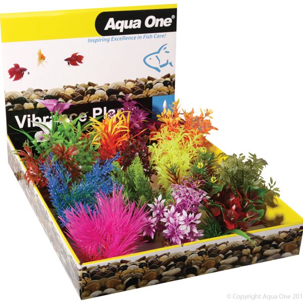 Vibrance Assorted Plant Mix Small