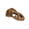 Exo Terra T-Rex Skull - SMALL
