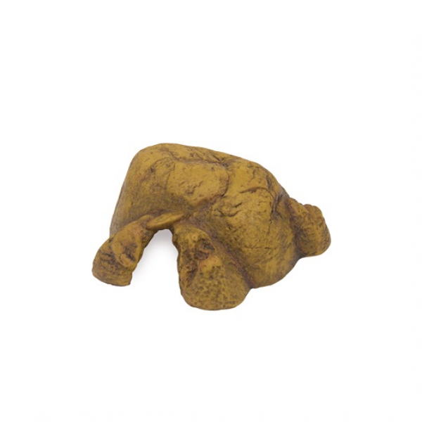 Exo Terra Reptile Cave - MEDIUM