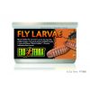 Exo Terra Black Soldier Fly Larvae - 34gm