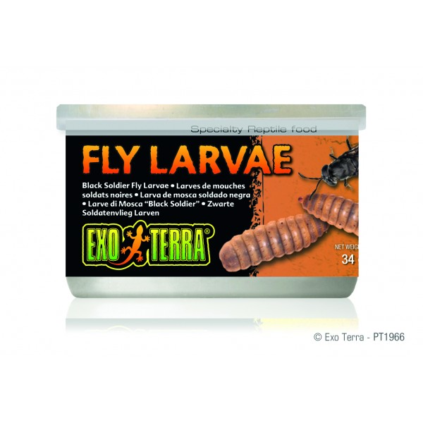 Exo Terra Black Soldier Fly Larvae - 34gm