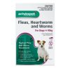 Aristopet Spot Treatment Dog 4-10kg - 3 Pack