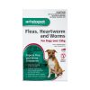 Aristopet Spot Treatment Dog Over 25kg - 3 Pack