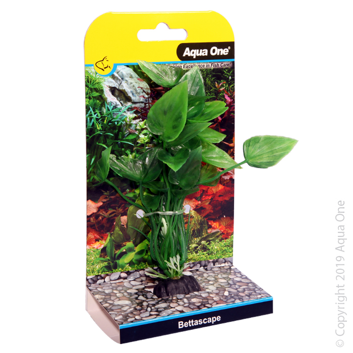 Bettascape Betta Lily Green