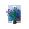 Betta Plant Flora Design Green Purple