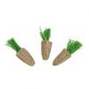 Edible Alfalfa Carrots 3Pk