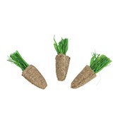 Edible Alfalfa Carrots 3Pk