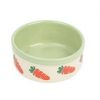 Cermic Bowl Carrot Green
