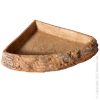 Reptile Corner Bowl XL (16.5 X 16.5 X 2.9 Cm)