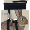 Small Animal Care Harness & Lead Set Rabbit- BLACK
