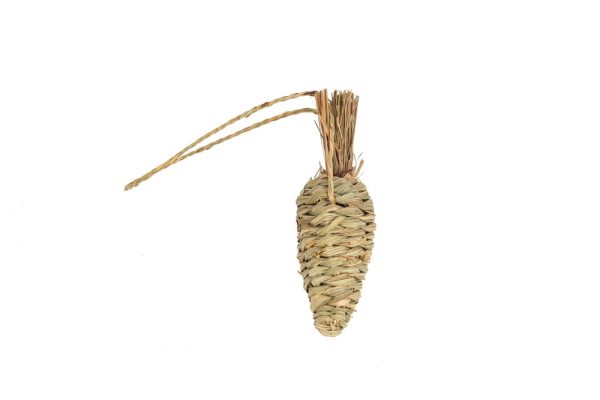 Seagrass Carrot Chew Toy