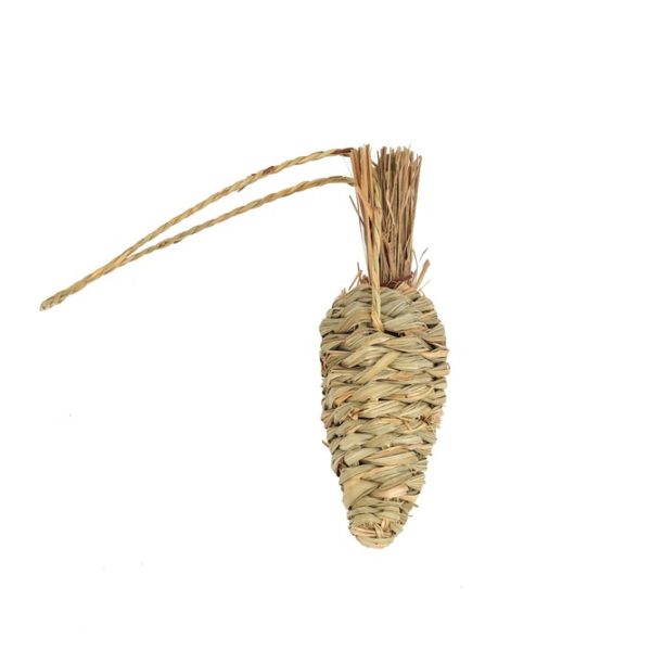 Seagrass Carrot Chew Toy